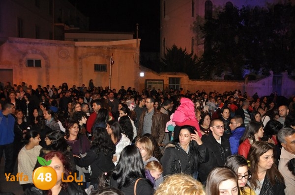 tree light 1208 (14).JPG